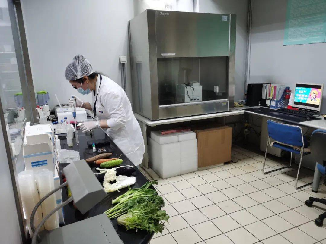 青川食品检测实验室装修方案
